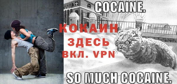 не бодяженный Алексин