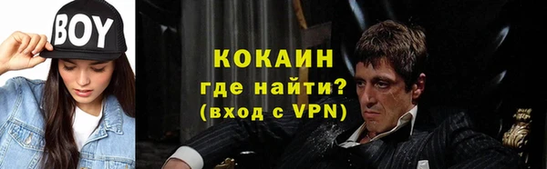 не бодяженный Алексин