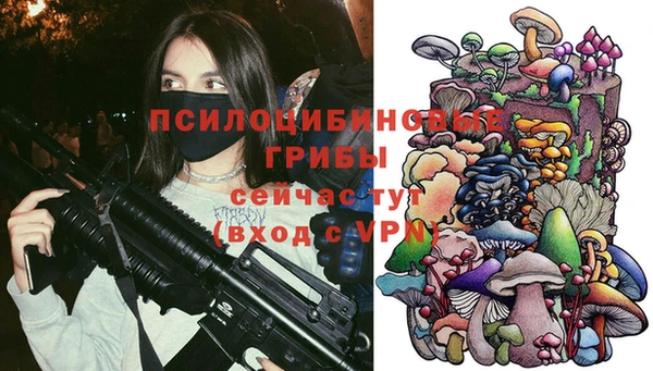 не бодяженный Алексин