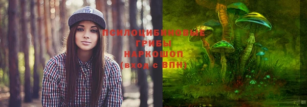 стафф Алексеевка