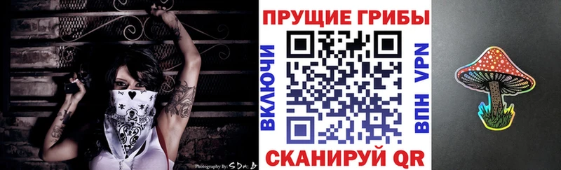 Галлюциногенные грибы Psilocybine cubensis Уяр